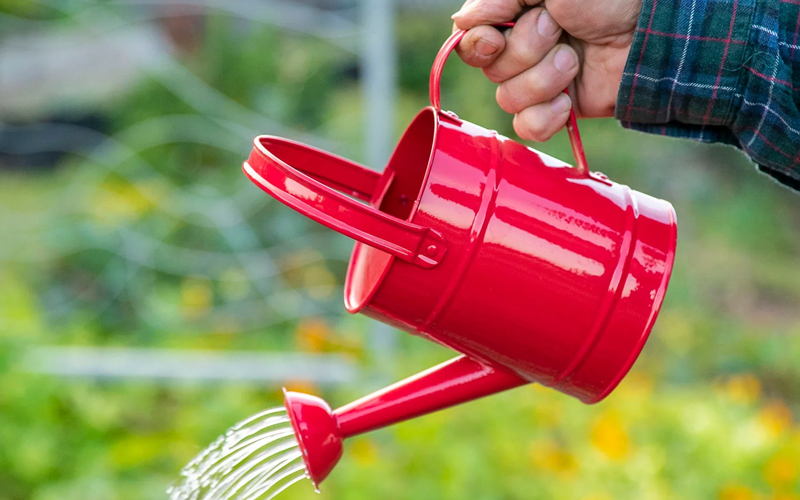 Watering Can Or Hose